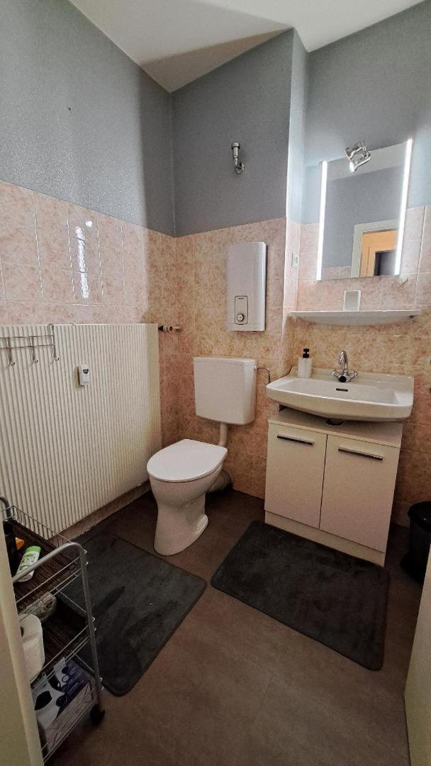 1-Zimmer-Appartement Schoene Aussicht لانغلسهايم المظهر الخارجي الصورة